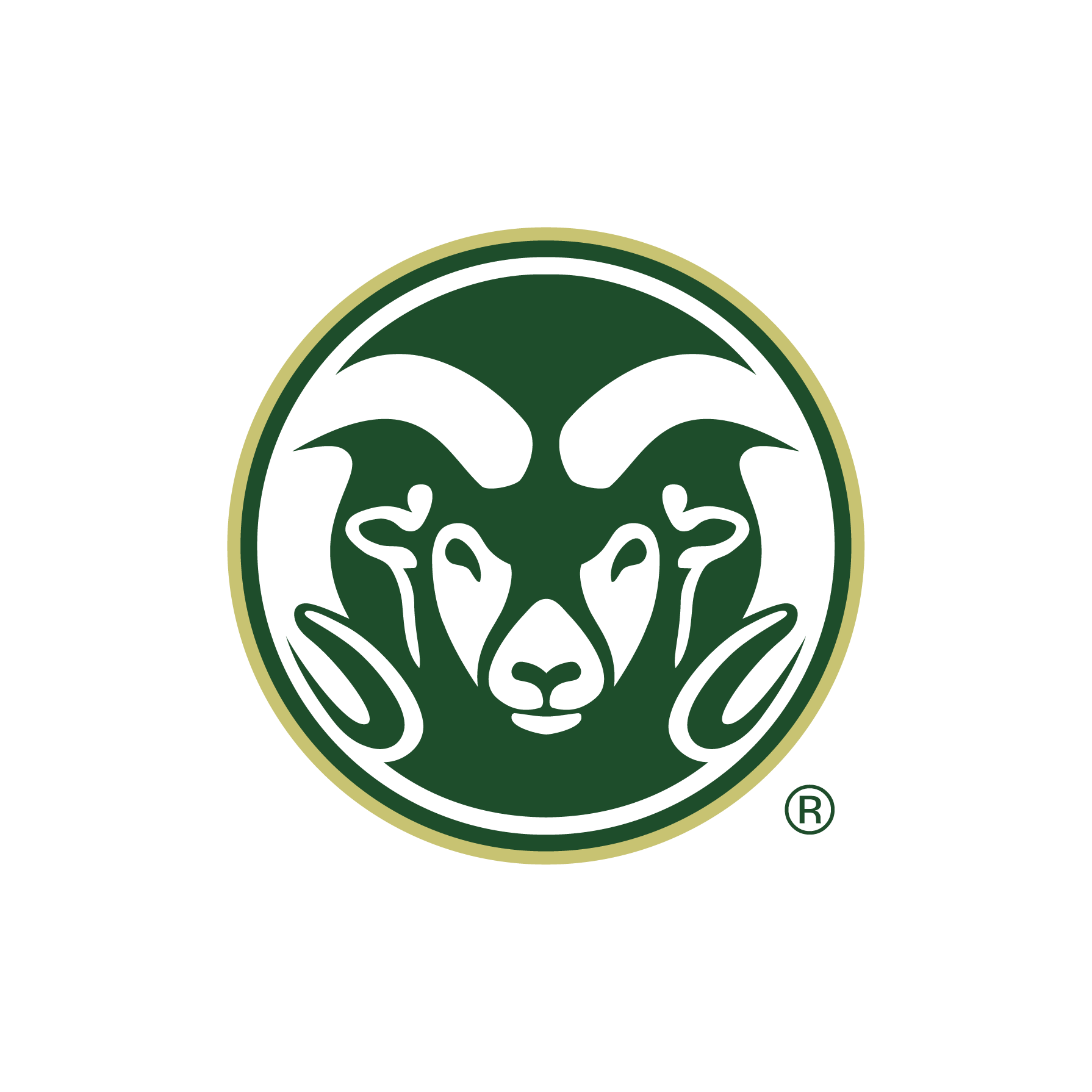 Colorado State University